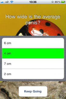 Sex Quiz